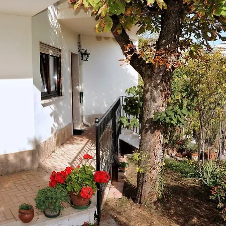 A Casa Di Galdino E Vittorianna Apartment L'Aquila Exterior photo